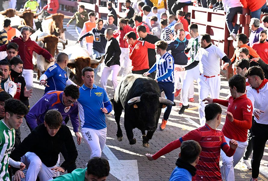 San Sebastian de los Reyes