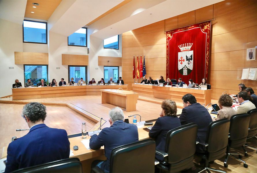 PLENO ALCOBENDAS