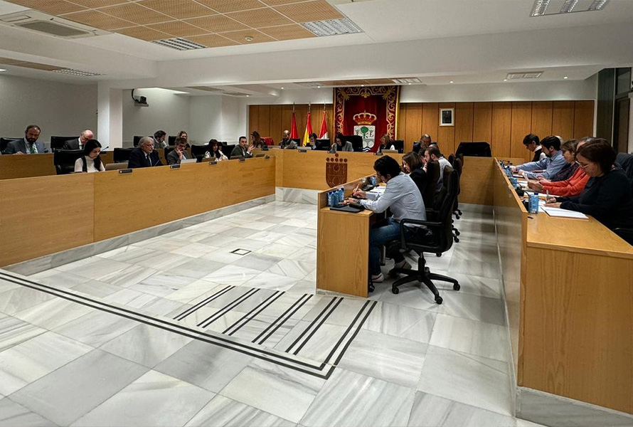 pleno San Sebastián de los reyes