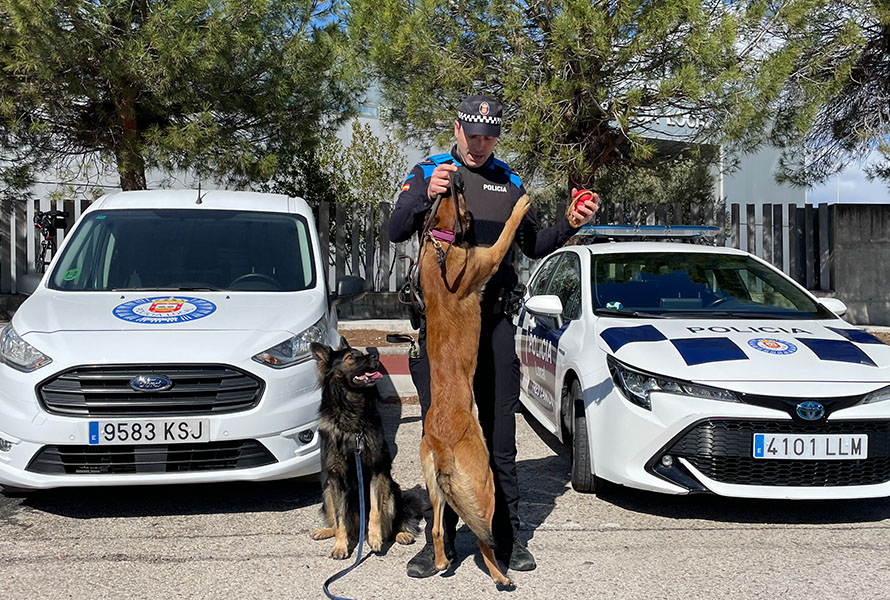 Seguridad en Tres Cantos