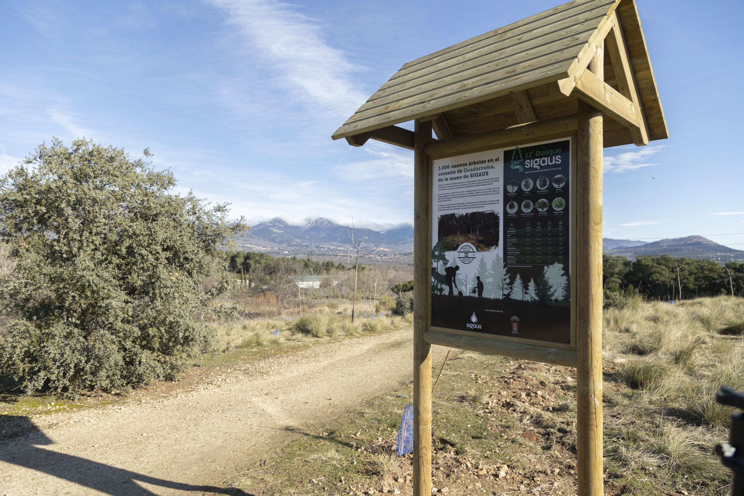 1000 árboles para Tres Cantos