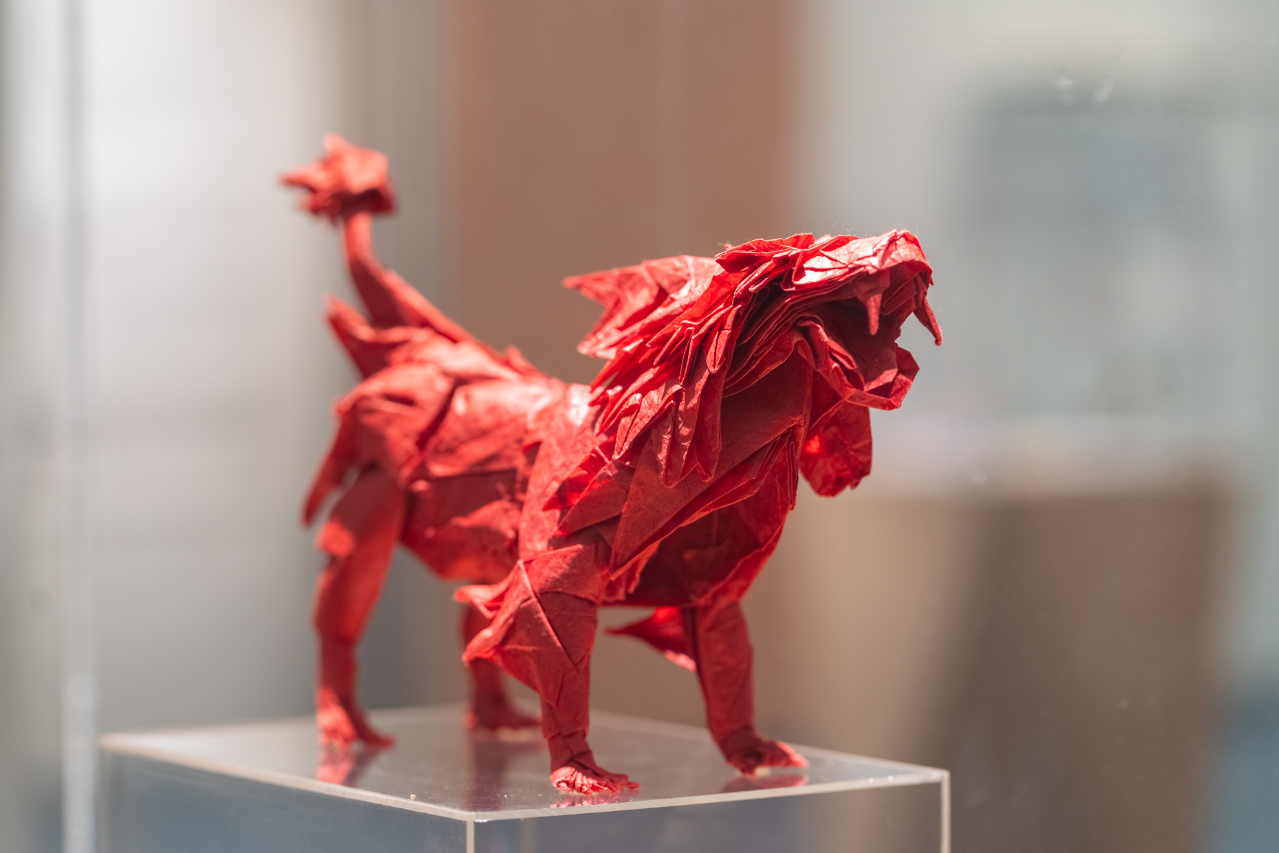 Origami Tres Cantos con embajador de Japón