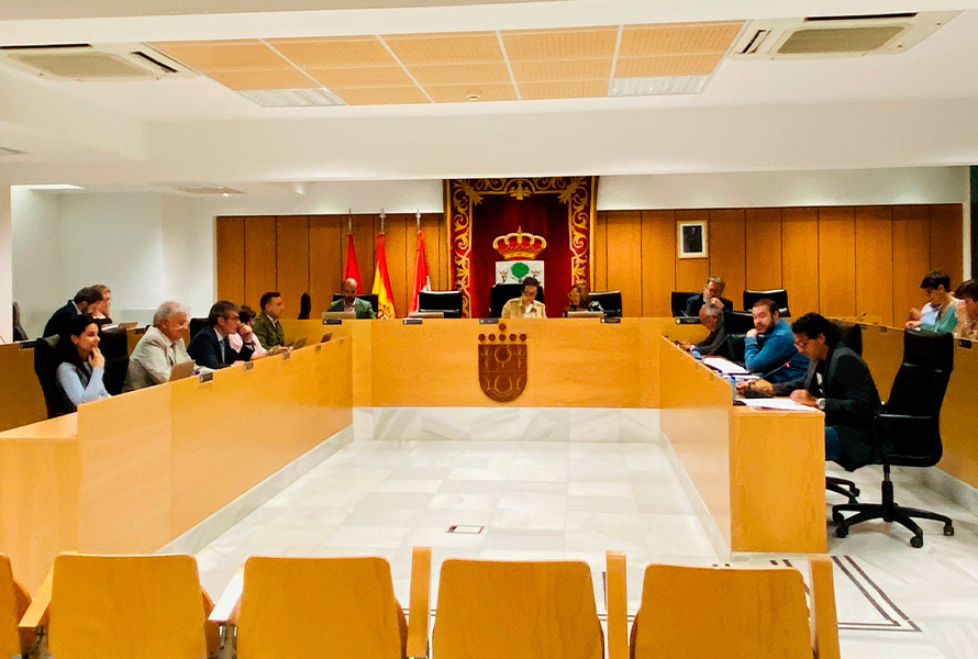 pleno sanse w