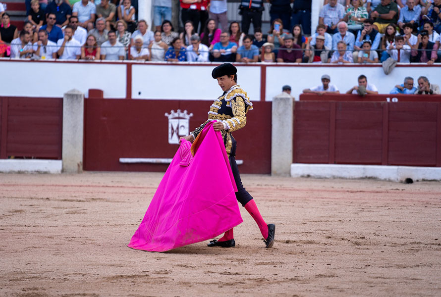 feria taurina w