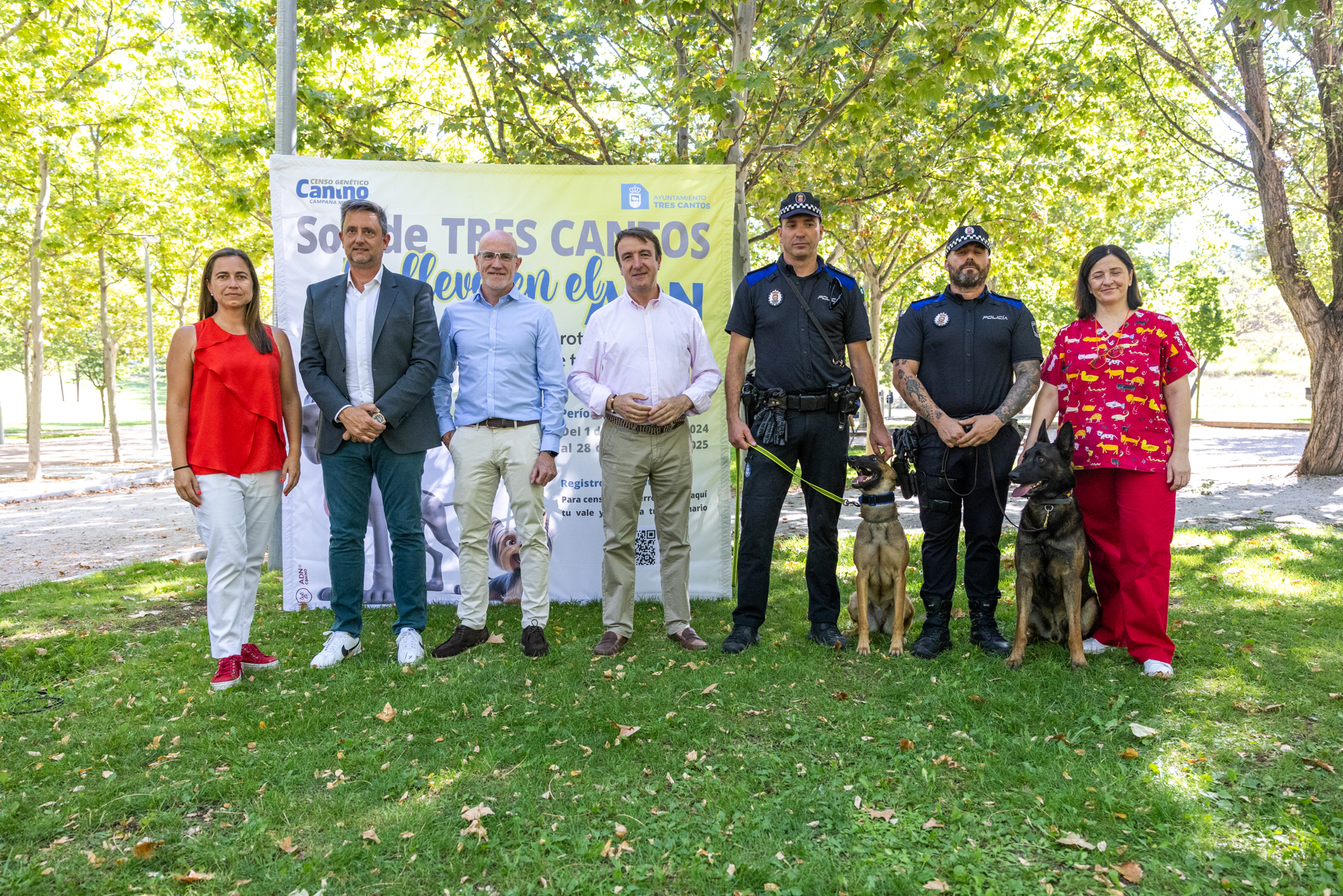 adn canino tc 6