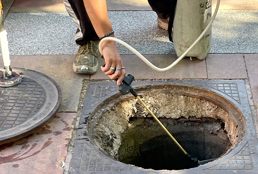 Medidas para el control de plagas de cucarachas y roedores en Tres Cantos