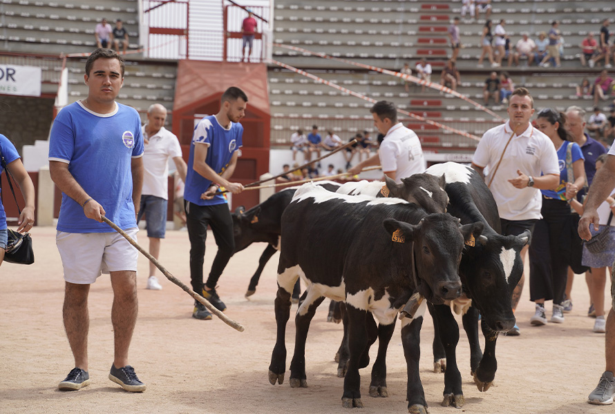 Programación completa para hoy sábado 24 sábado en Colmenar Viejo
