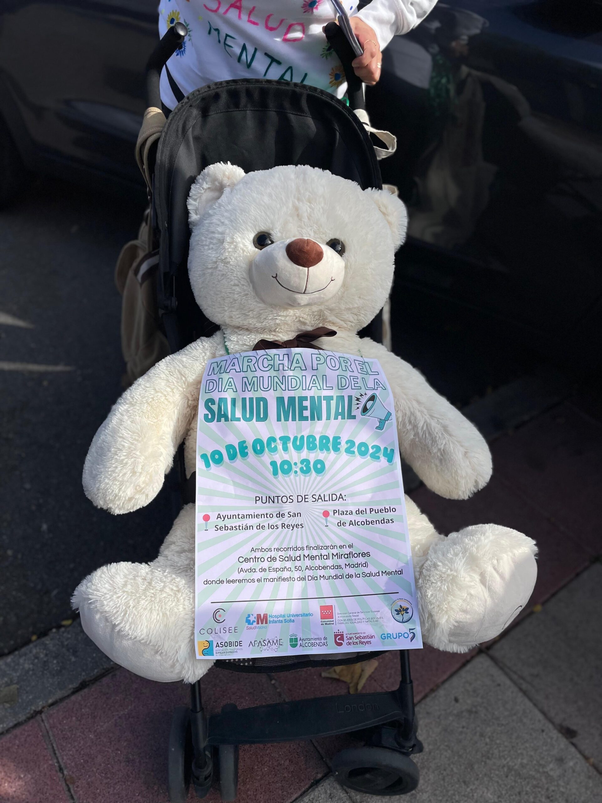 saludmental2