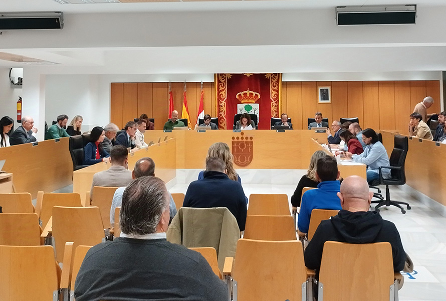 pleno del ayuntamientossrww