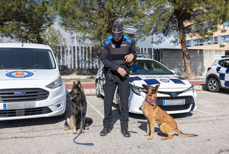 policiaw