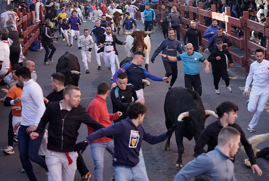 Encierros Blancos San Sebastián de los Reyes