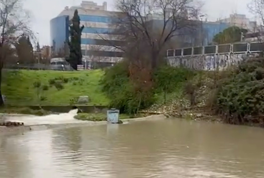 Río Jarama Alcobendas