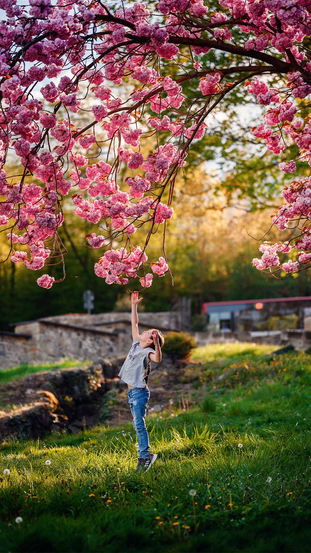 Primavera