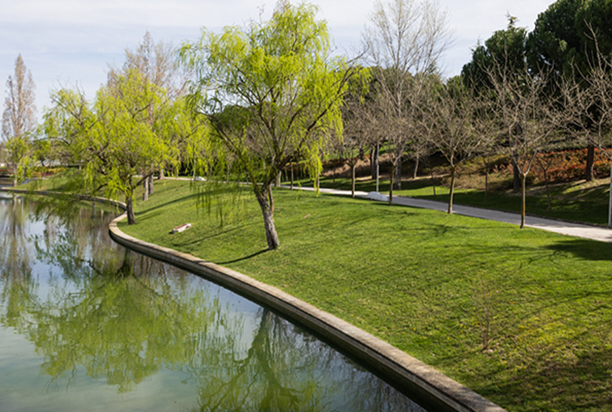 Tres Cantos