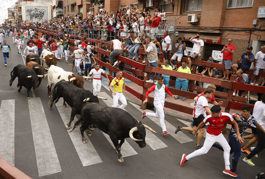 San Sebastián de los Reyes
