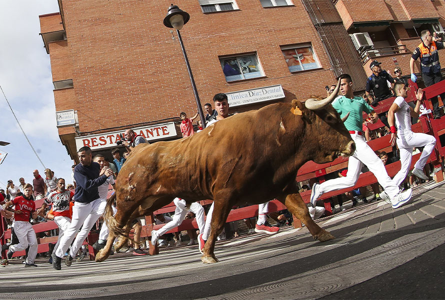 San Sebastián de los Reyes