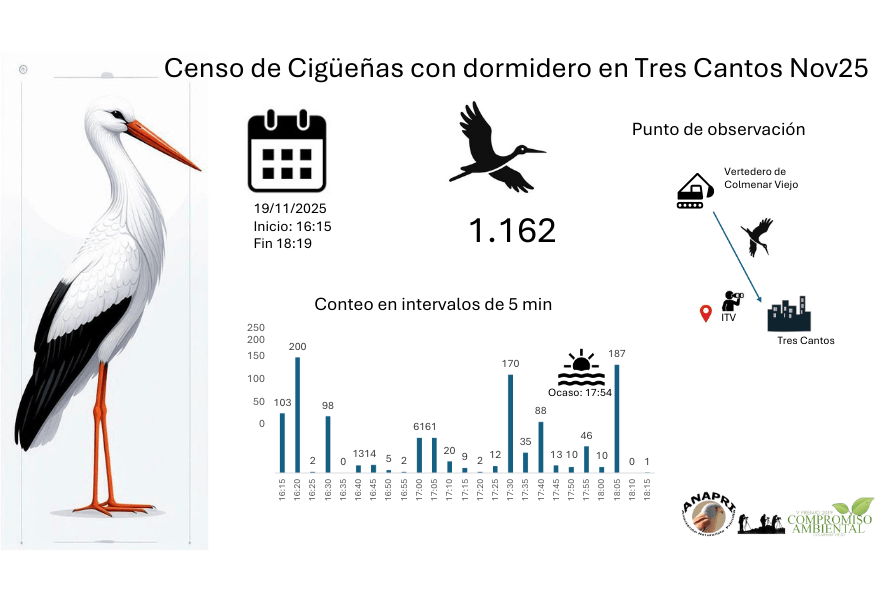 Cigüeñas Tres Cantos y Colmenar Viejo