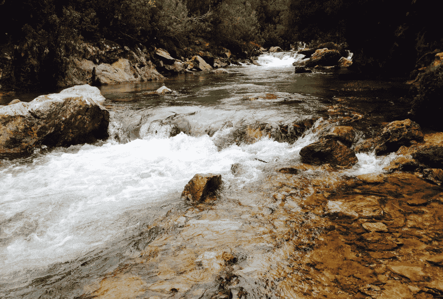 Arroyo Valconejero de San Sebastián de los Reyes